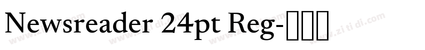 Newsreader 24pt Reg字体转换 Newsreader 24pt Reg字体转换